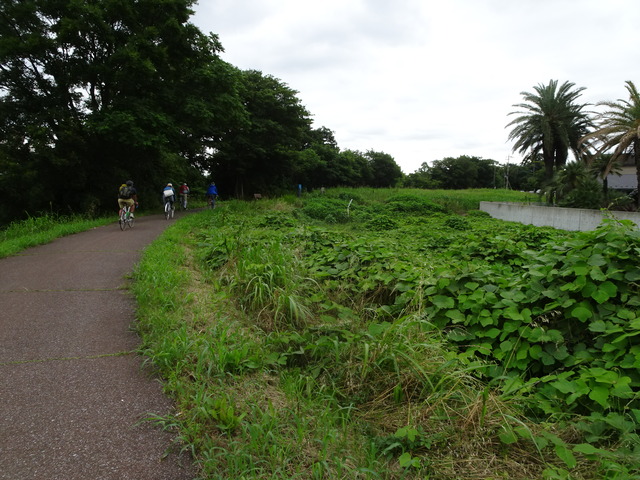 DSC00669