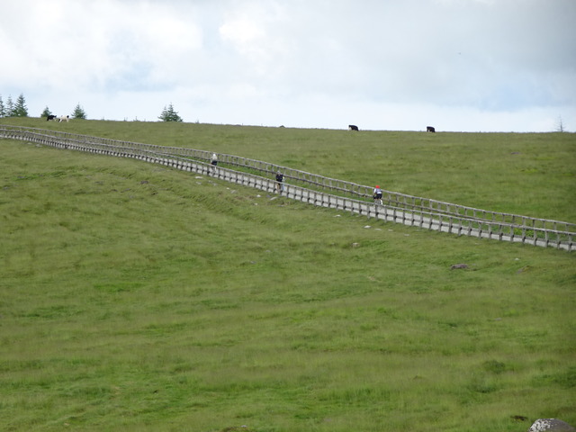 DSC03295