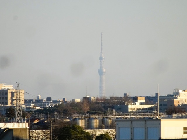 DSC04982