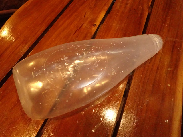 DSC01021