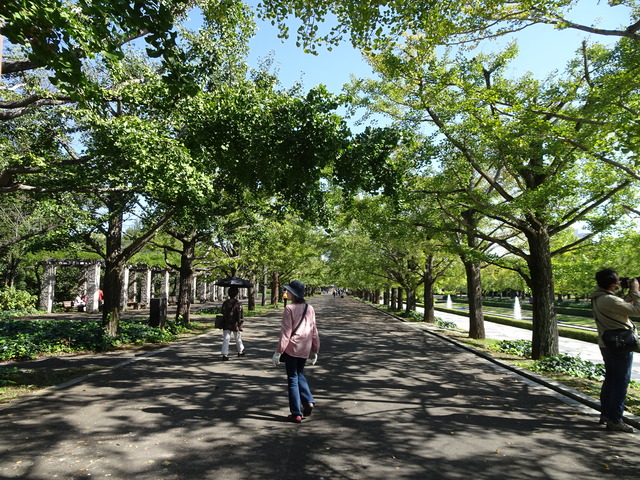 DSC02778
