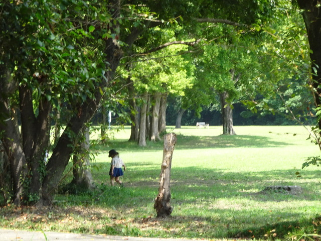 DSC07996