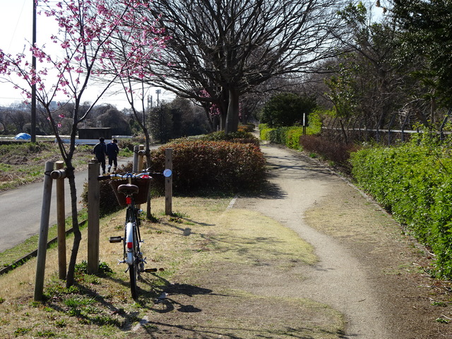 DSC01418
