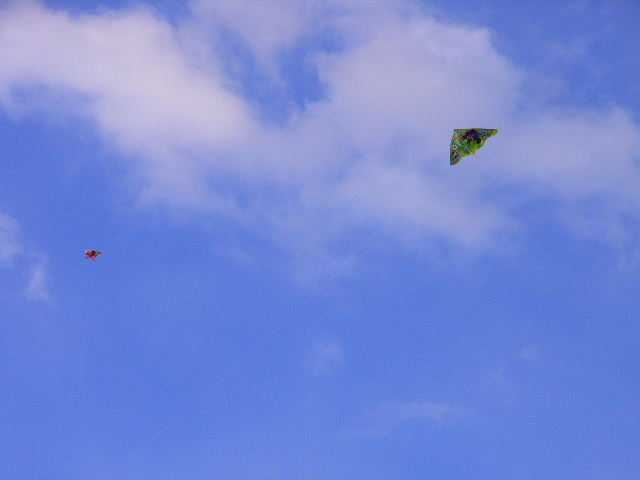 dcec125d.jpg
