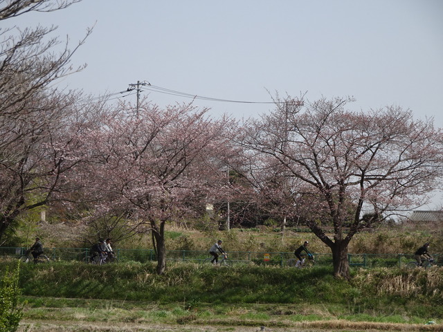 DSC09908