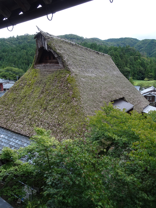 DSC08057