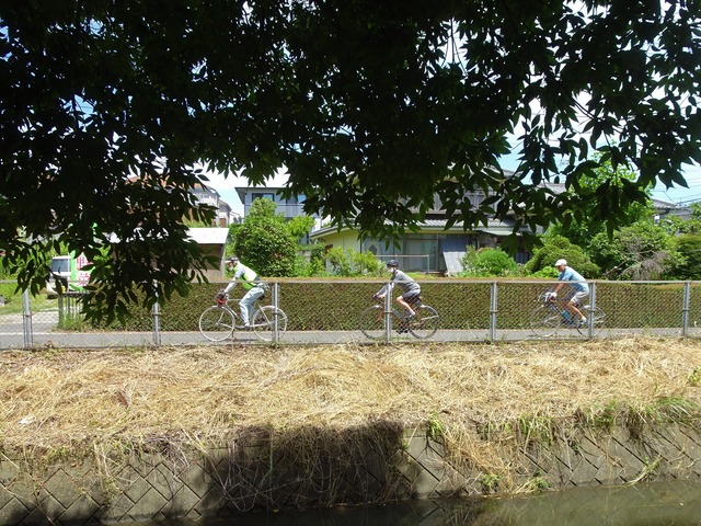 DSC04612 (2)