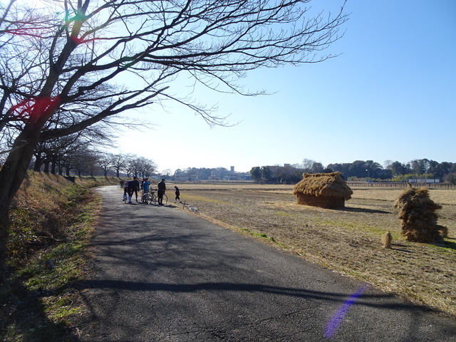 DSC03301