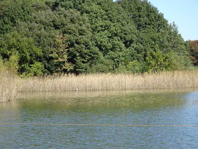 DSC02804