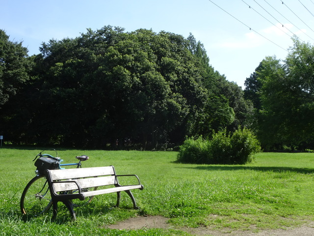 DSC00811