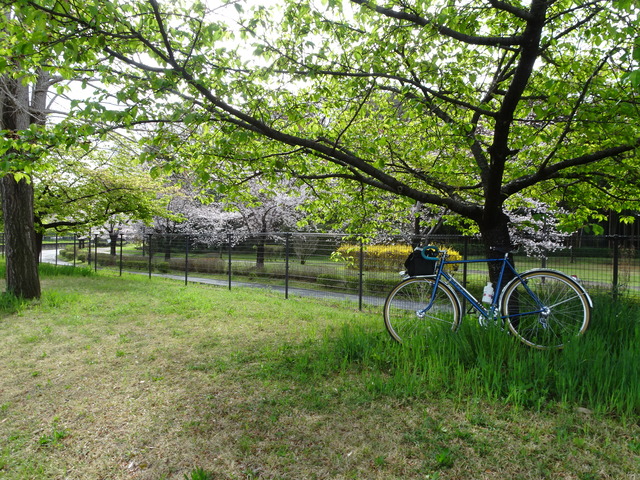 DSC00127