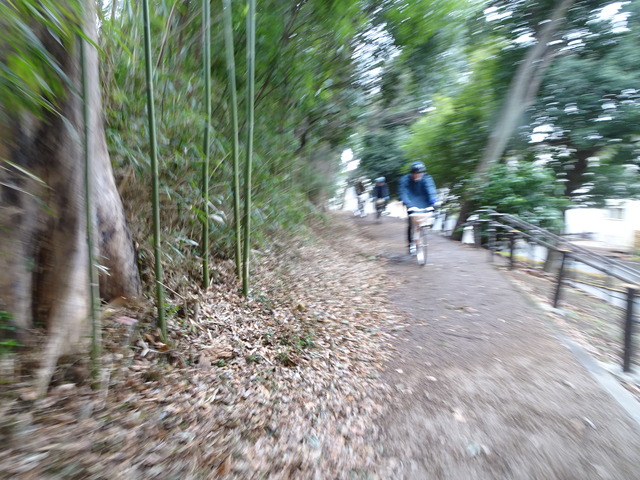 DSC01175