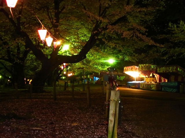 RIMG0015