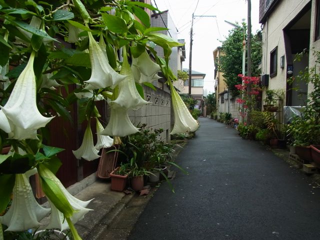 010