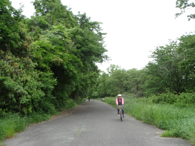 DSC00450