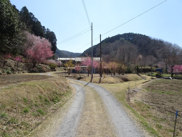DSC00105