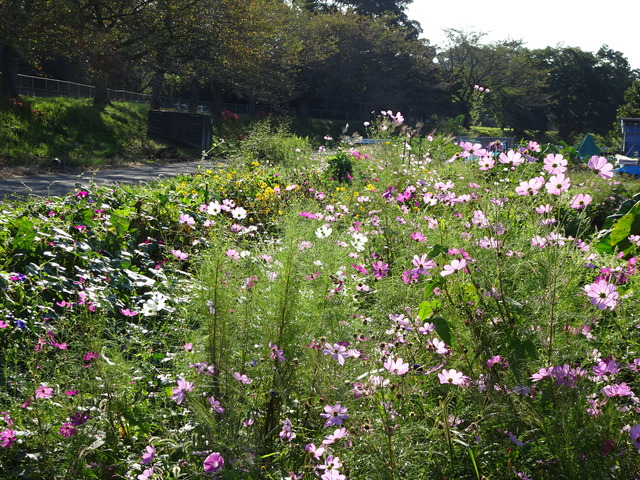 DSC04566