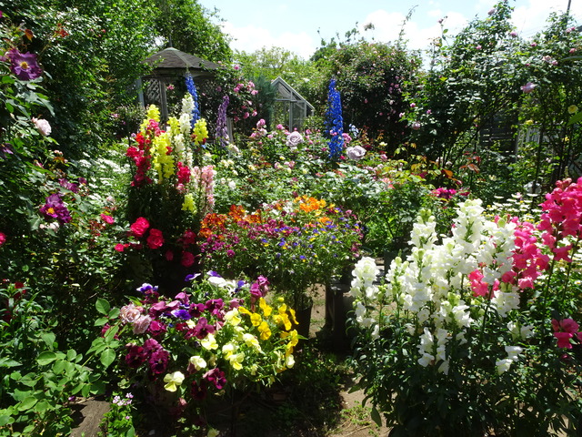 DSC00529