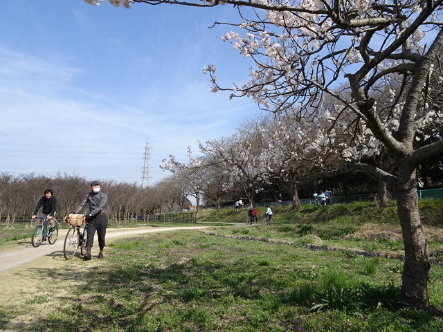 DSC08069