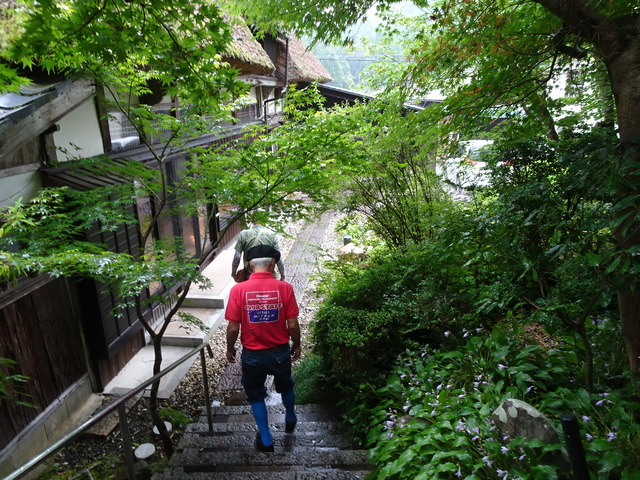 DSC08101