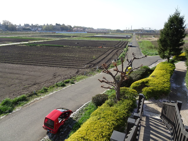 DSC08278