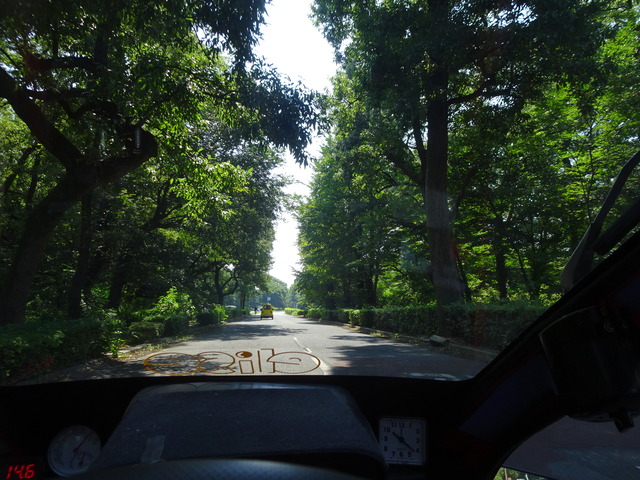 DSC07984
