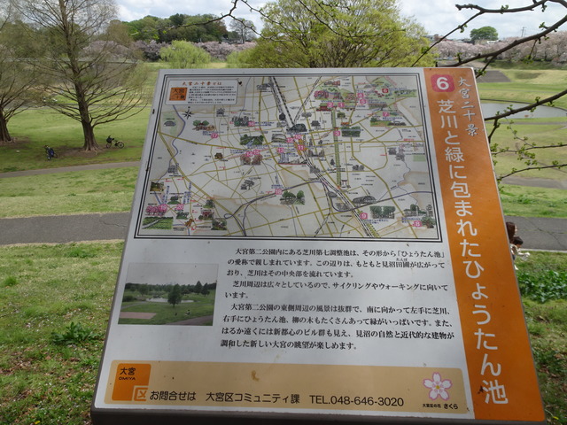 DSC00293