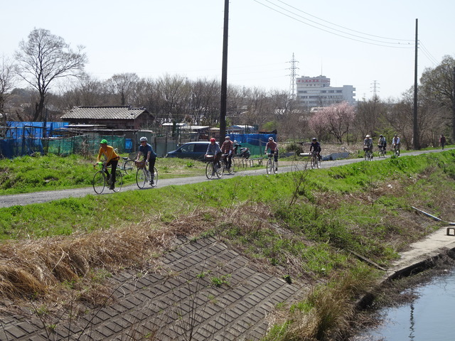 DSC01693