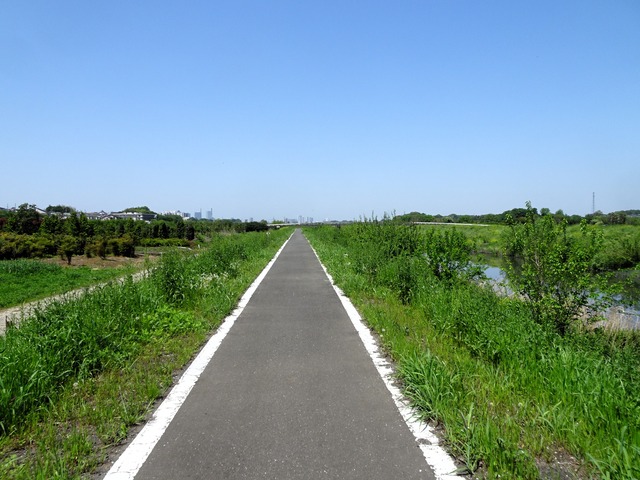 DSC02201