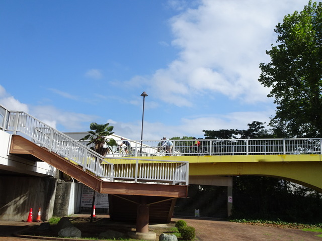 DSC08943