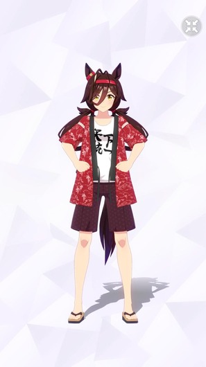 fu6079474