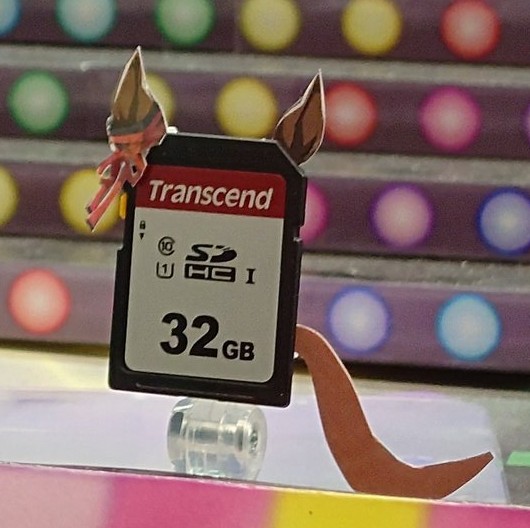 thumbnail image
