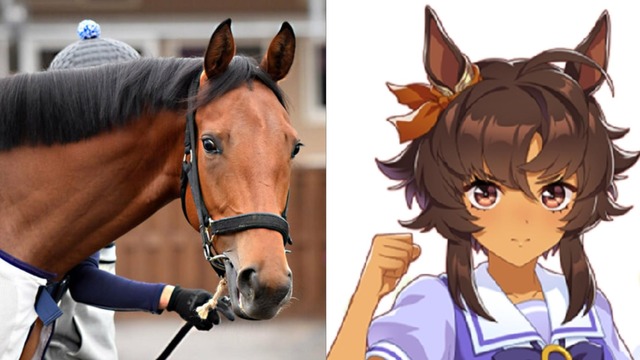 no title
