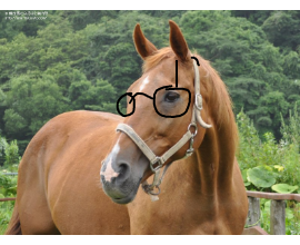 onjgame-1636697652-851-270x220