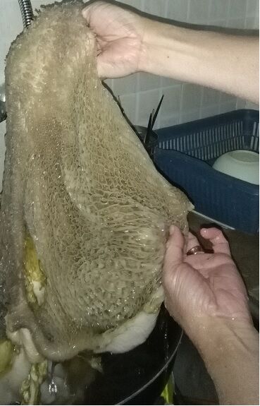 パキスタンのニュース