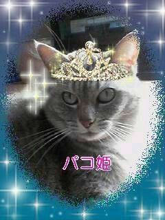 コスメ（美容＆ファッション）に関するWebメディア