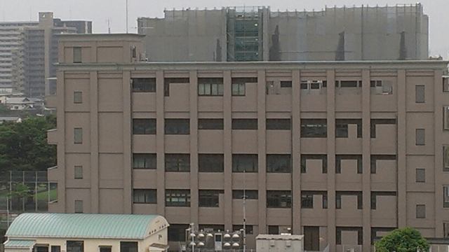ライフログ Pakupakupippiのblog ライフログ Pakupakupippiのblog