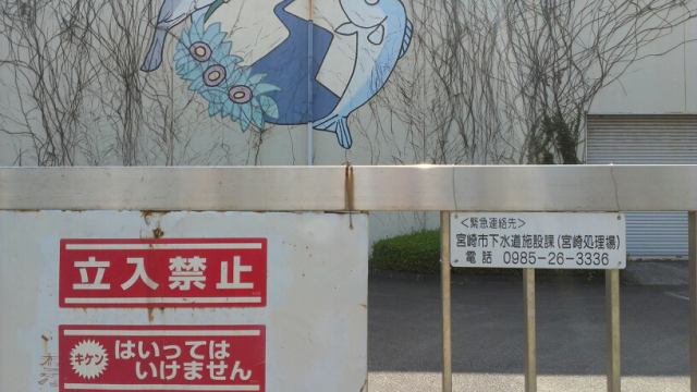 Pakupakupippiのblog Pakupakupippiのblog