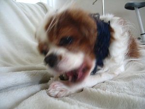 一気にいくのか