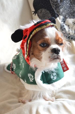 苦行のとき