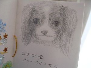 心霊ではありませぬ