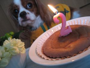 ケーキを前にちょっとしもぶくれちゃった