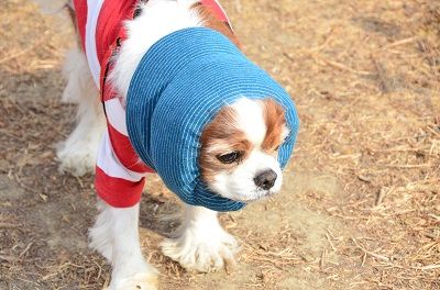 のっそりとな