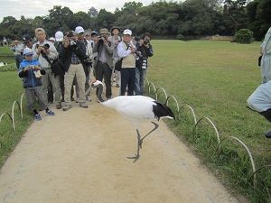 ここを通ればいいのね、はいはい