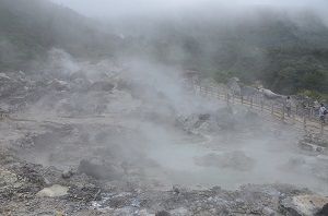 由来は恐怖です