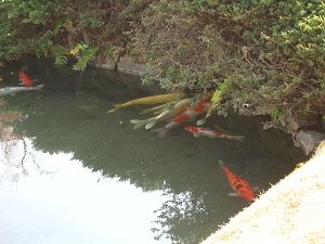 混雑