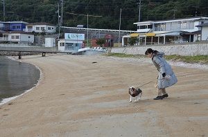 静かなんですよ