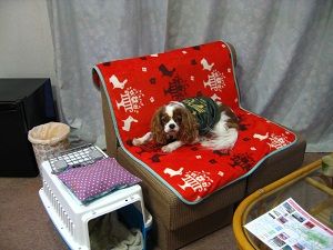 テレビ番組と天気が関西系で新鮮でした