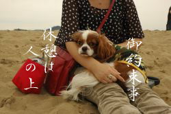 乗ってきます