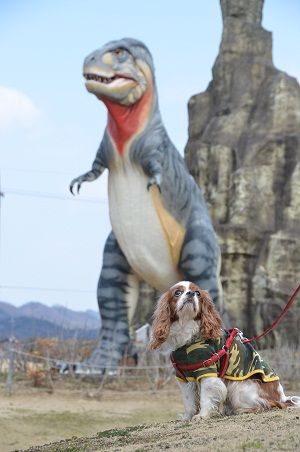 前足短いのね〜よつんばいにならない前提よね?